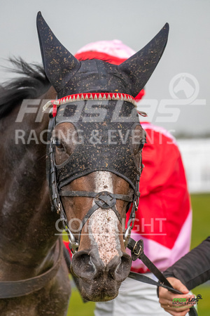 Ffos Las Raceday - 1st October 2020 - Race 7 - Large-6