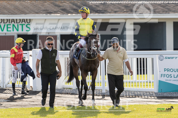 Ffos Las - 5th July 2022  -  Race 2 - Large-8