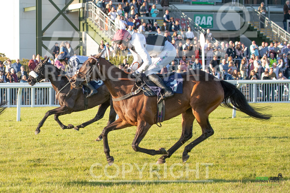 Ffos Las - 28th May 22 - Race 4 - Large-6