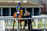Ffos Las - 6th April 25 - Race 1 -7