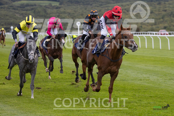 Ffos Las - 25th September 2022 - Race 2 -  Large-16