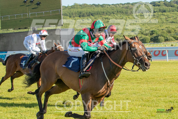 Ffos Las - 28th May 22 - Race 1 - Large -25