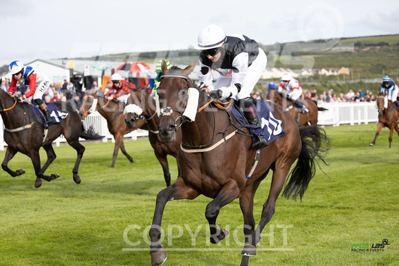 Ffos Las - 25th September 2022 - Race 5 -  Large-16
