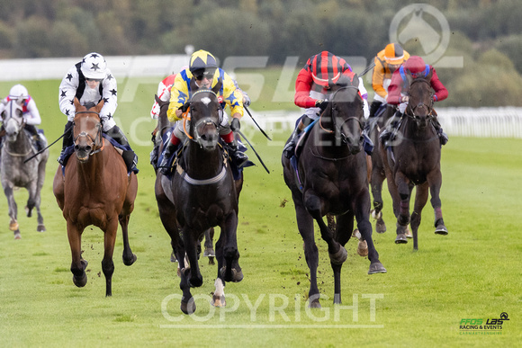 Ffos Las - 25th September 2022 - Race 7 -  Large-10