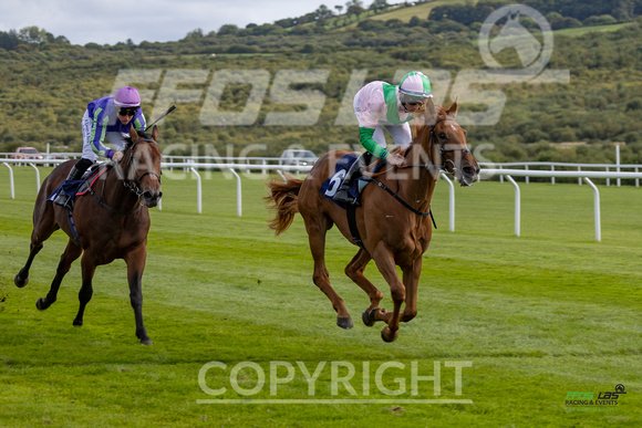 Ffos Las - 25th September 2022 - Race 3 -  Large-10