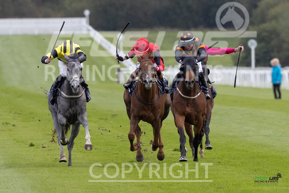 Ffos Las - 25th September 2022 - Race 2 -  Large-3