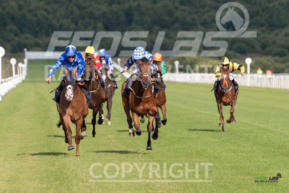 Ffos Las - 5th July 2022  -  Race 3 - Large-3