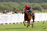 FFos Las - Thursday 29th Aug 24 - Final Edits_ Race 1-2