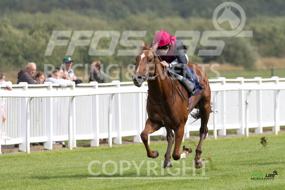 FFos Las - Thursday 29th Aug 24 - Final Edits_ Race 1-2