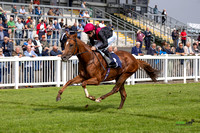 FFos Las - Thursday 29th Aug 24 - Final Edits_ Race 1-8