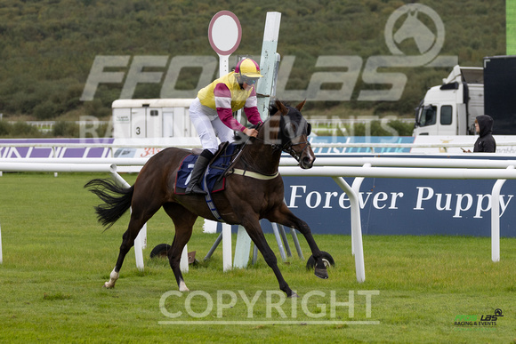 Ffos Las - 25th September 2022 - Race 1 -  Large-30