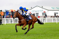 Ffos Las Race Day - 11th November 24 - Race 1 -12