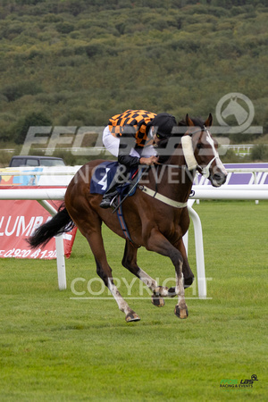 Ffos Las - 25th September 2022 - Race 1 -  Large-20