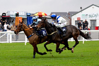 Ffos Las Race Day - 11th November 24 - Race 1 -16