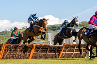 Ffos Las - 28th May 22 - Race 1 - Large -14