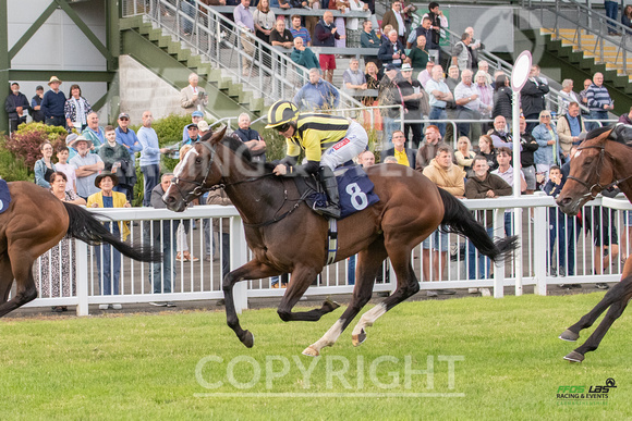 Ffos Las - 5th July 2022  -  Race 6 - Large-6