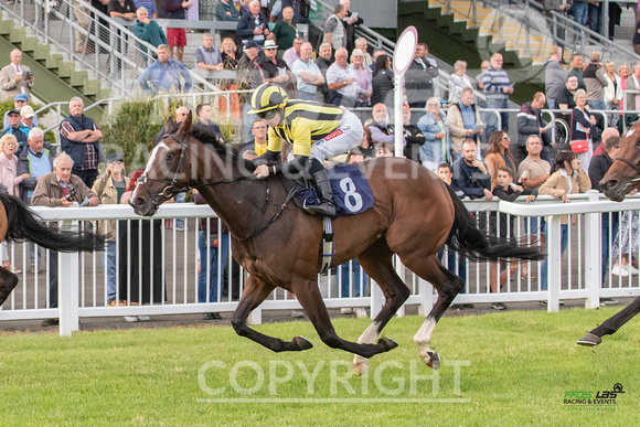 Ffos Las - 5th July 2022  -  Race 6 - Large-5