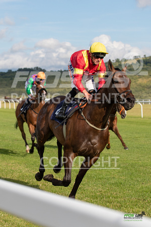Ffos Las - 5th July 2022  -  Race 3 - Large-12