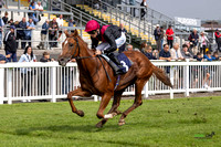 FFos Las - Thursday 29th Aug 24 - Final Edits_ Race 1-7