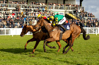 FFos Las - 19th Dec 2024 - Race 1-13