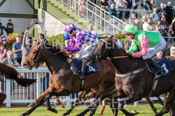 Ffos Las - 5th July 2022  -  Race 5 - Large-8