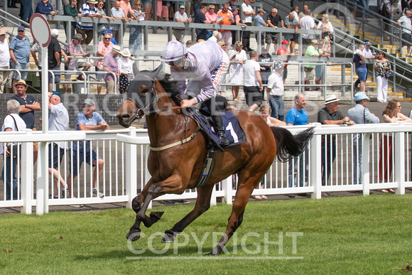 FFos Las - 11th July 22 - Race 1 - Large  (10)