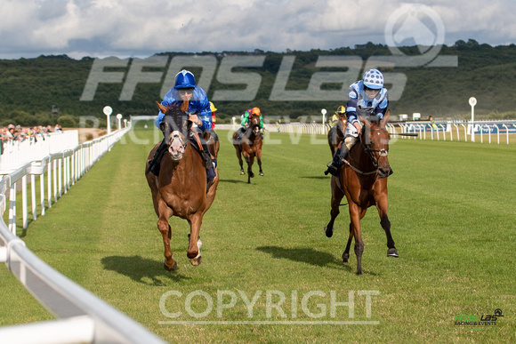Ffos Las - 5th July 2022  -  Race 3 - Large-6