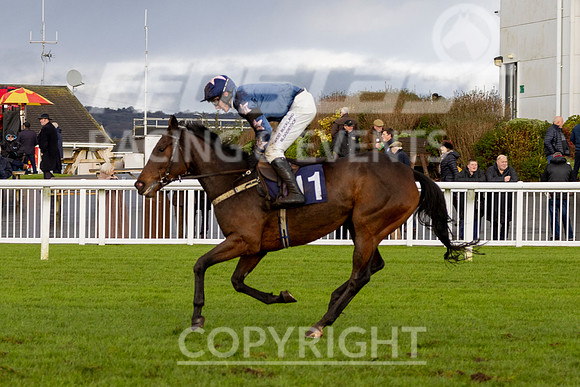 Ffos Las Race Day 20th Nov 24 - Race 1-15
