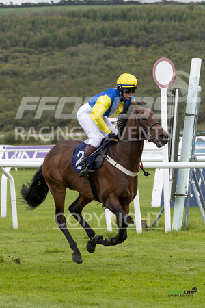 Ffos Las - 25th September 2022 - Race 1 -  Large-24
