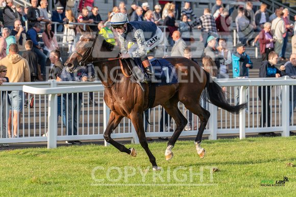 Ffos Las - 5th July 2022  -  Race 5 - Large-9