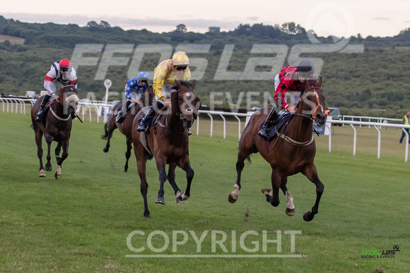 Ffos Las - 5th July 2022  -  Race 7 - Large-8