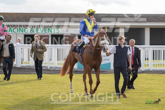 Ffos Las - 5th July 2022  -  Race 4 - Large-11