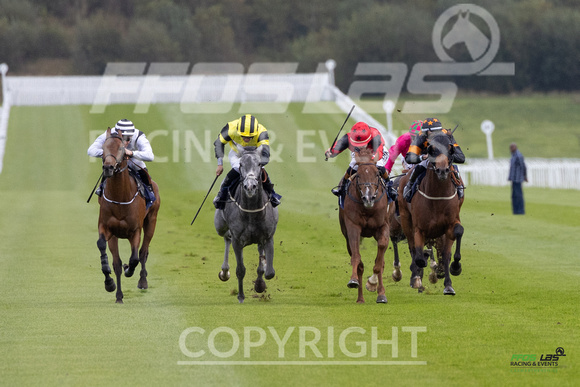 Ffos Las - 25th September 2022 - Race 2 -  Large-1