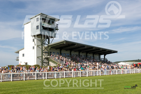 Ffos Las - 30th July 2024 - Race 1 -10