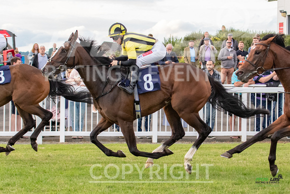 Ffos Las - 5th July 2022  -  Race 6 - Large-7
