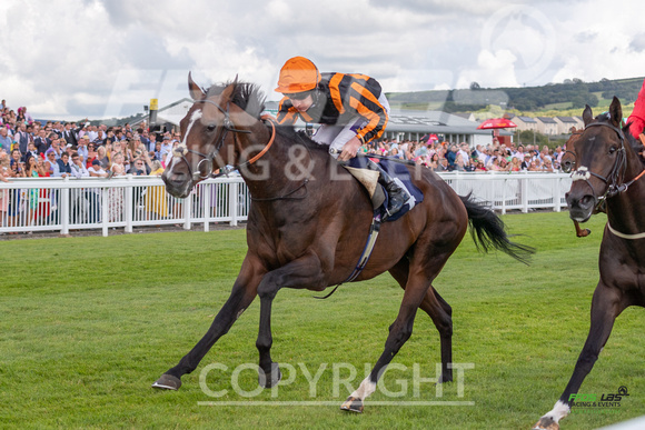 Ffos Las Ladies  Day - 26th Aug 2022 - Race 4-6