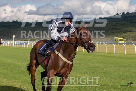 Ffos Las - 5th July 2022  -  Race 4 - Large-7