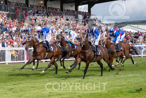Ffos Las Ladies  Day - 26th Aug 2022 - Race 2-7