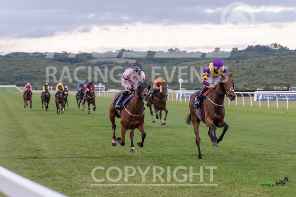 Ffos Las - 5th July 2022  -  Race 7 - Large-7