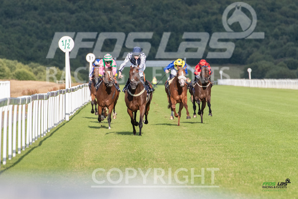 Ffos Las - 5th July 2022  -  Race 4 - Large-2