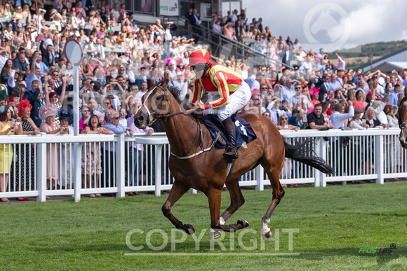 Ffos Las Ladies  Day - 26th Aug 2022 - Race 1 -6