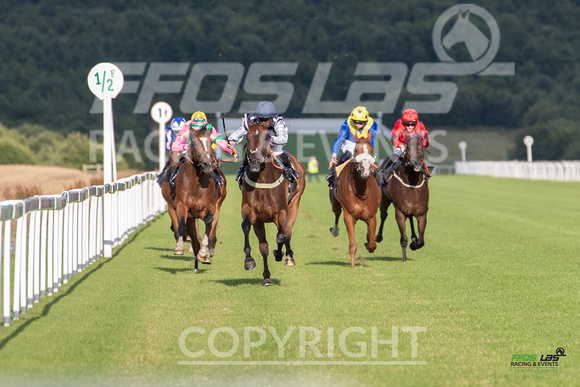 Ffos Las - 5th July 2022  -  Race 4 - Large-1
