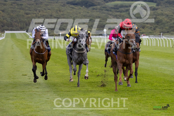 Ffos Las - 25th September 2022 - Race 2 -  Large-14