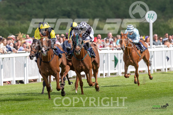 Ffos Las Ladies  Day - 26th Aug 2022 - Race 3-4
