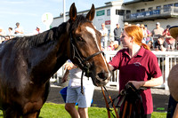 Ffos Las - 30th July 2024 - Race 1 -16