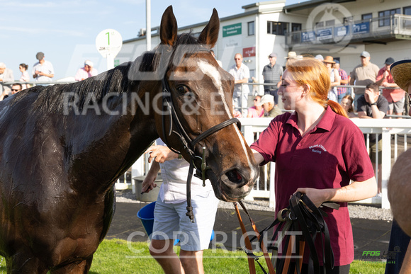 Ffos Las - 30th July 2024 - Race 1 -16