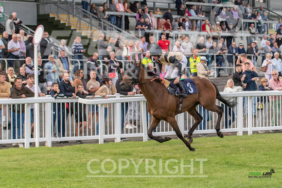 Ffos Las - 5th July 2022  -  Race 6 - Large-2