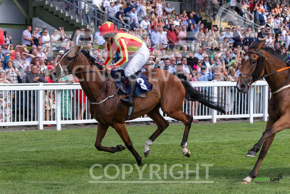 Ffos Las Ladies  Day - 26th Aug 2022 - Race 1 -7