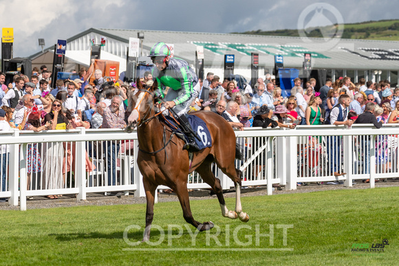 Ffos Las Ladies  Day - 26th Aug 2022 - Race 3-7