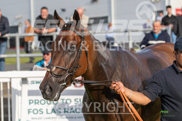Ffos Las - 5th July 2022  -  Race 4 - Large-14